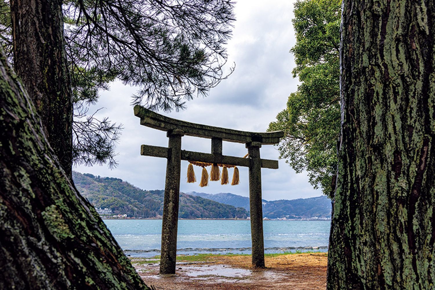 ギャラリー画像