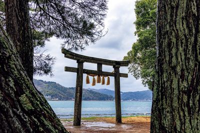 ギャラリー画像