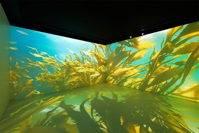 まるで海にいるかのような美しい映像空間も。