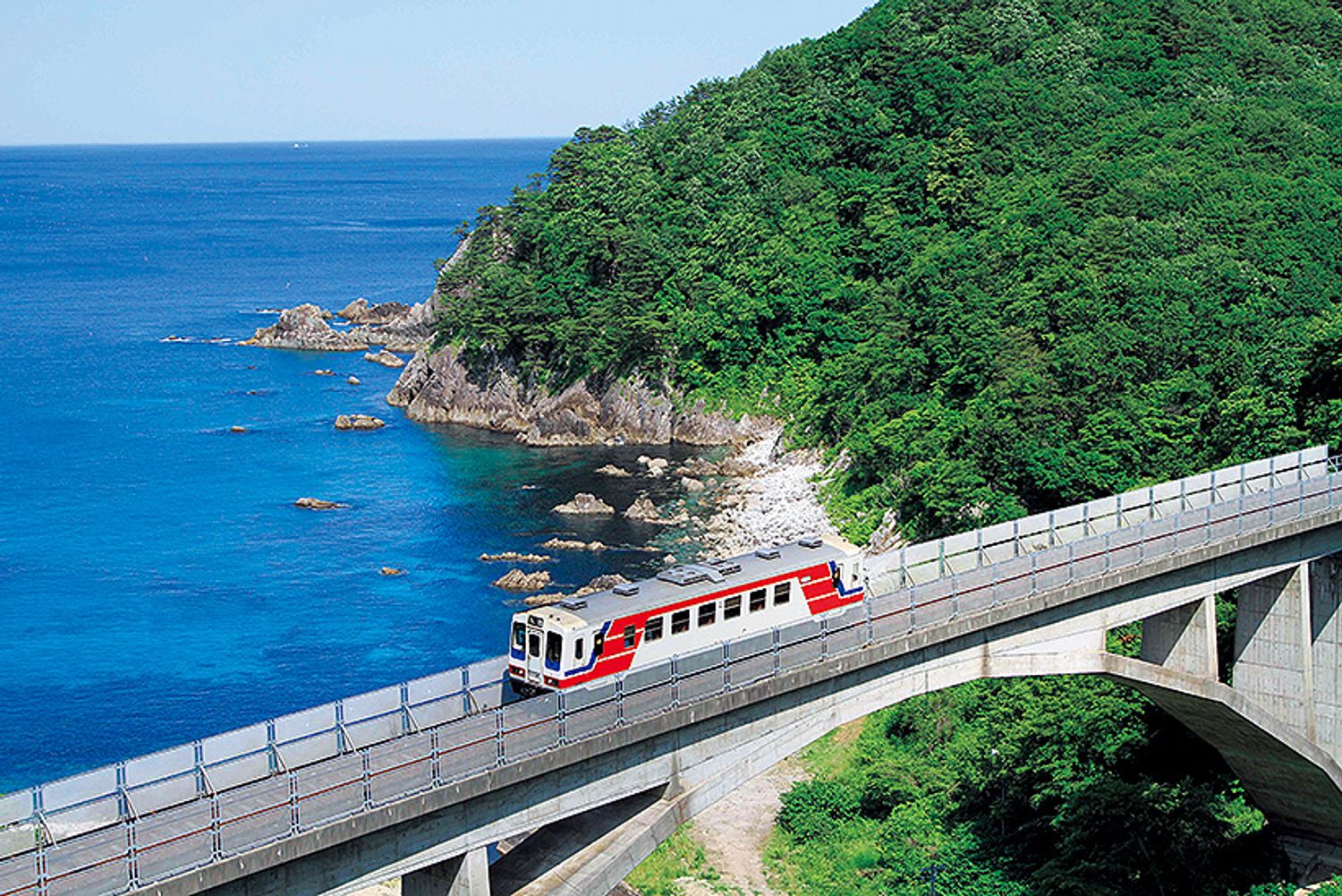 ギャラリー画像