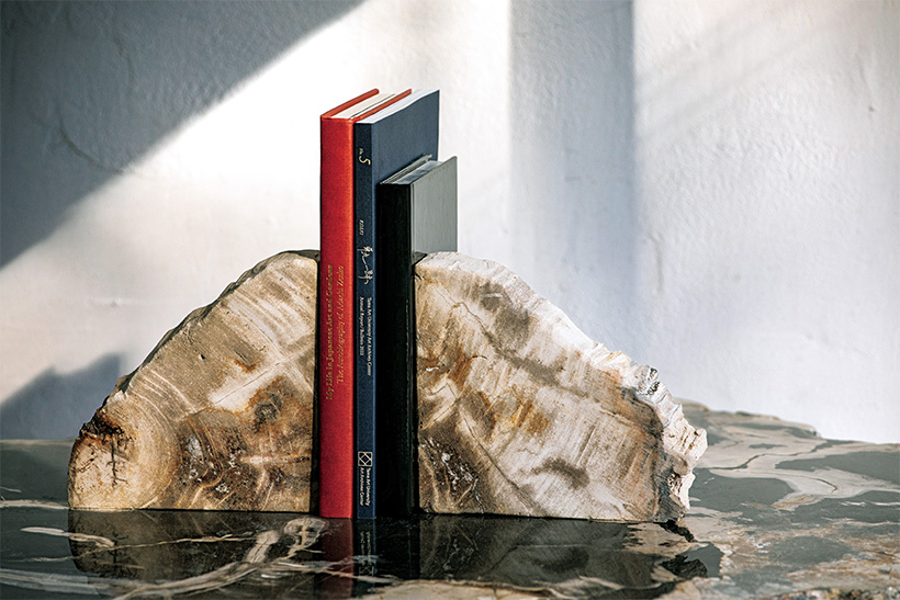 OAK Petrified Wood（オーク ペトリファイド ウッド）」で木の化石から