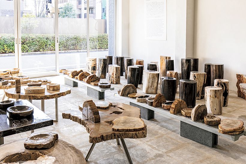 OAK Petrified Wood（オーク ペトリファイド ウッド）