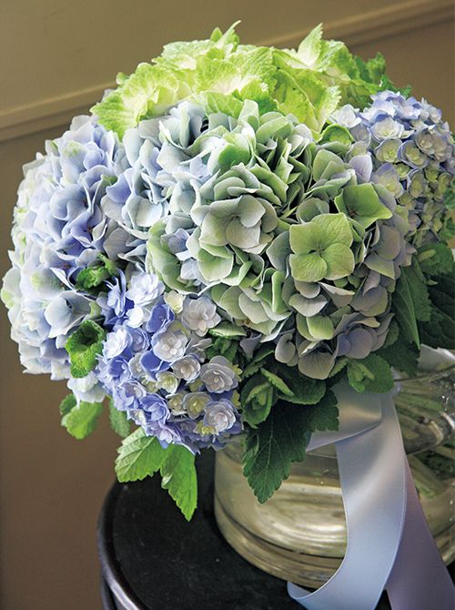 使用花材/アジサイの「ユー&ミートゥギャザー」と「マジカルノブレス ライトグリーン」と「クリスタルクラシックブルー」。カシス、アップルミント。