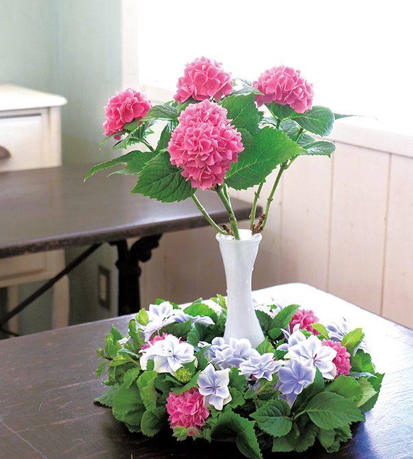 使用花材/アジサイの「茜雲」と「銀河」。