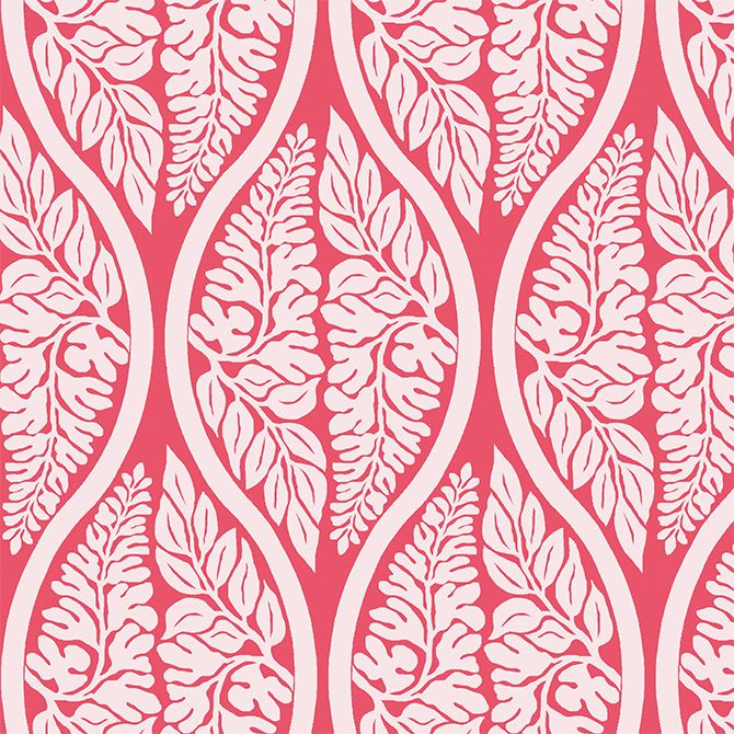 藤立涌（ふじたてわく）