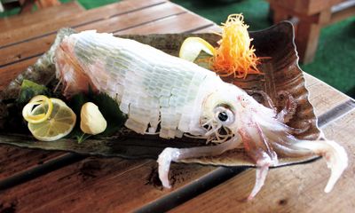透き通るような身、コリコリとした食感と甘みが特徴のやりいか「一本槍」（福岡県）。