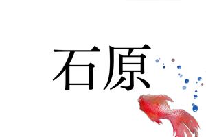メジャーな名字「石原」さん。ルーツとなった地名も東北から沖縄県まで全国に分布しています