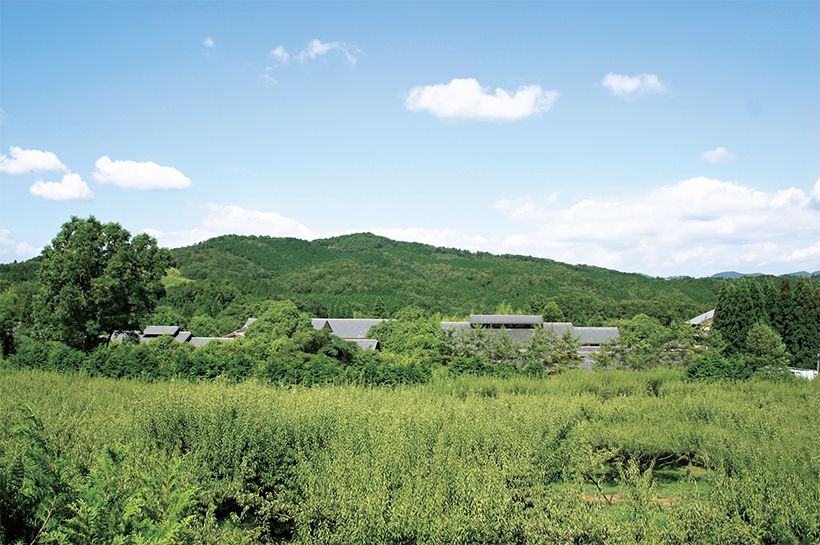 琵琶湖から流れ出る瀬田川のほとりに位置する「寿長生の郷」。6万3000坪の敷地内には300種以上の樹木が茂り、お菓子の原料となる梅や柚子などを育てる農業も営まれている。