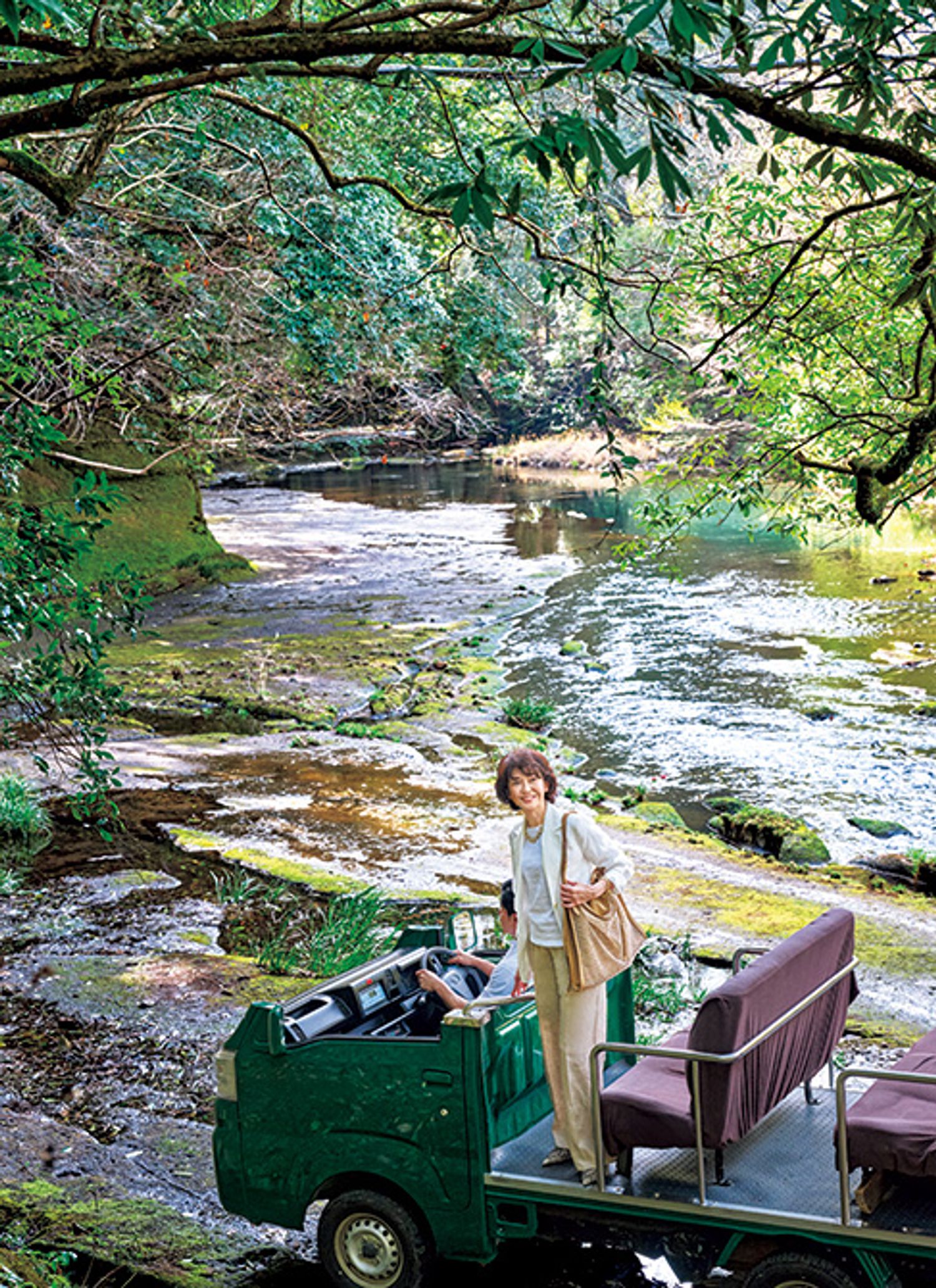 ギャラリー画像