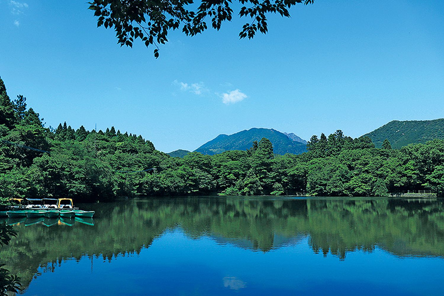 ギャラリー画像