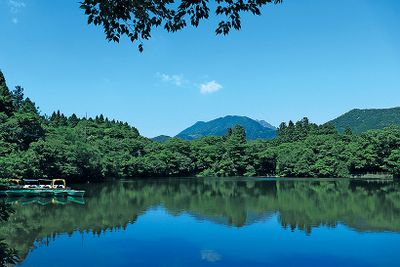 ギャラリー画像