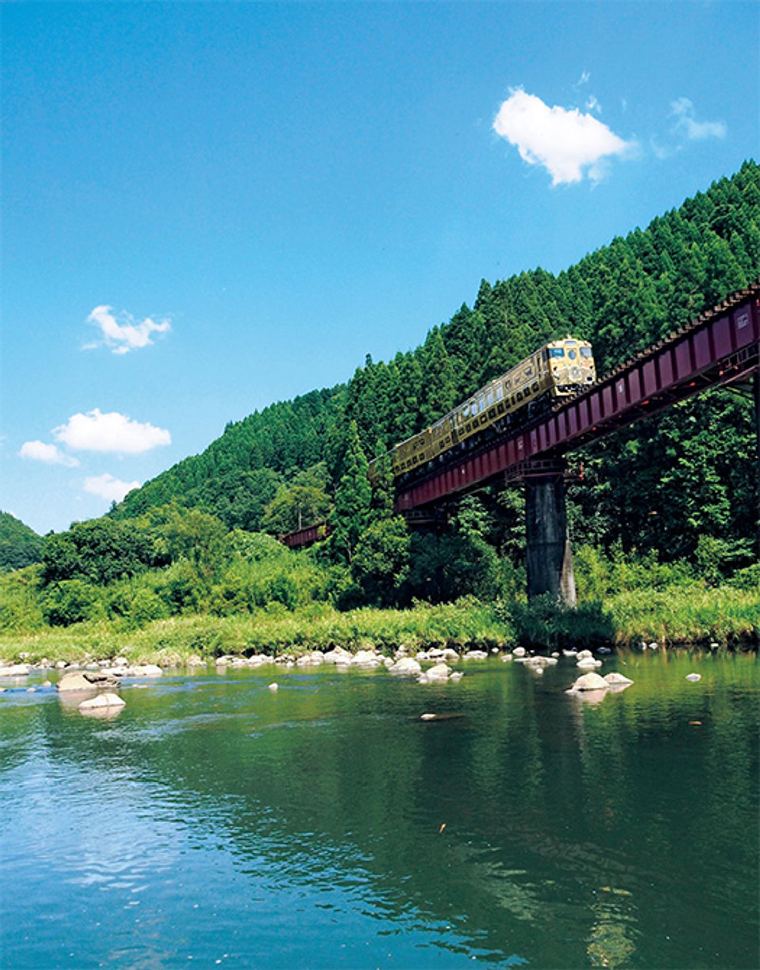 ギャラリー画像