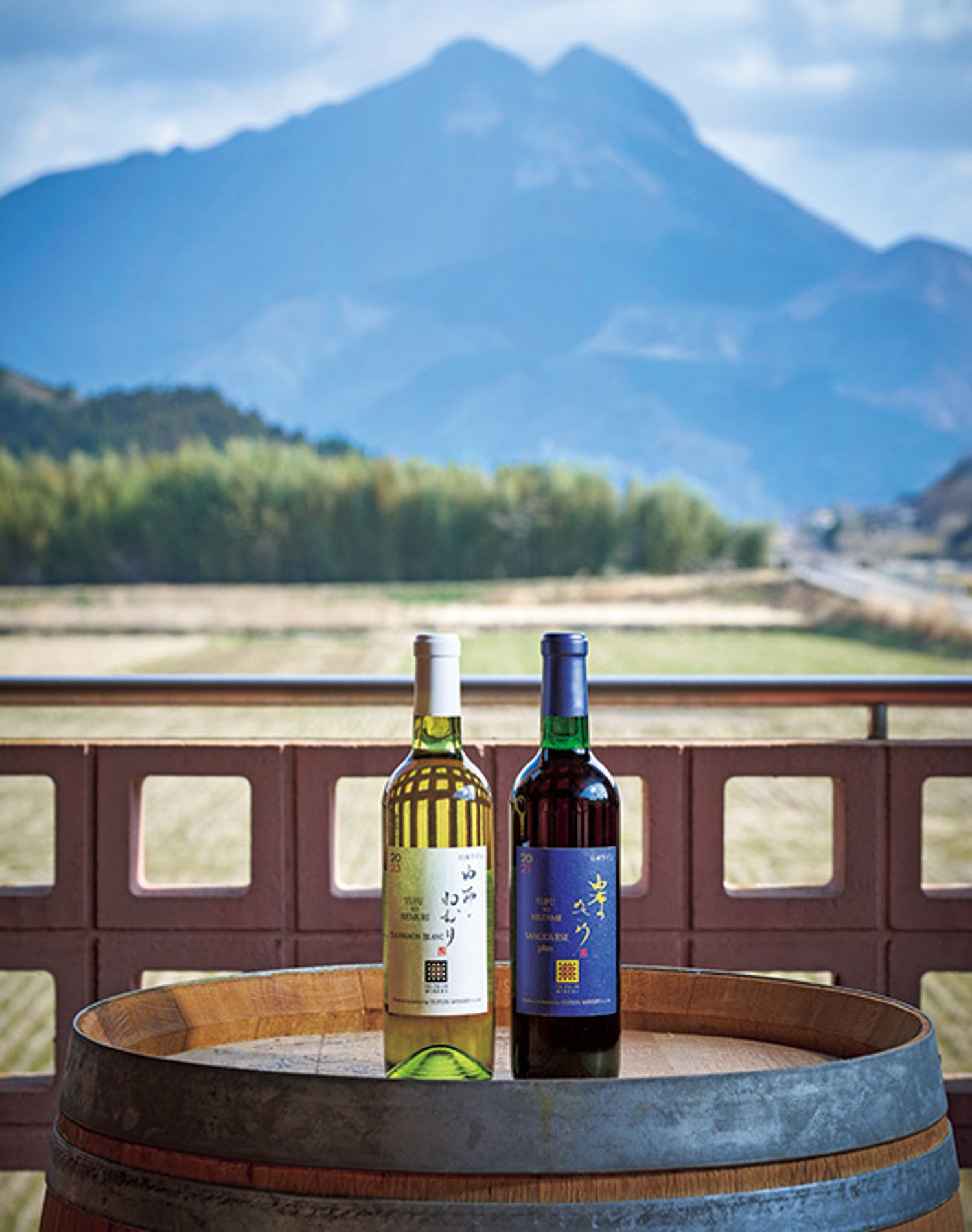 ギャラリー画像