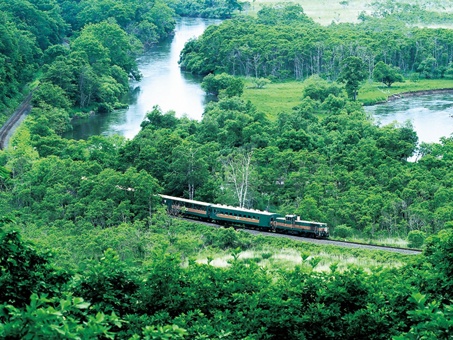 ギャラリー画像