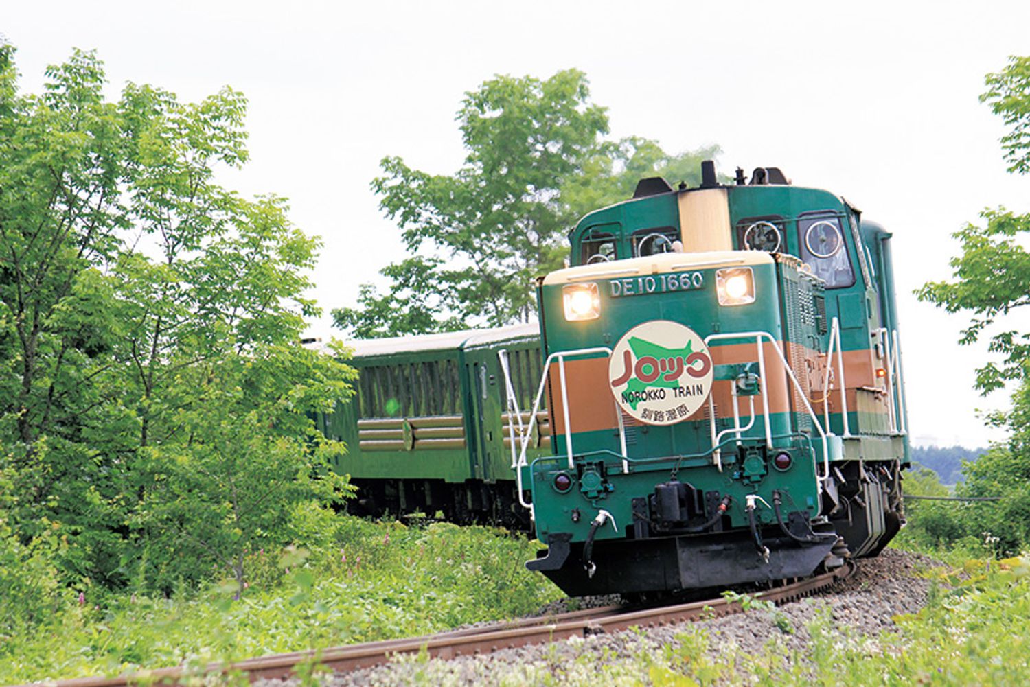 ギャラリー画像