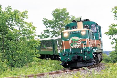 ギャラリー画像