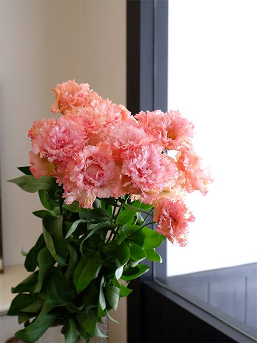 華やかなサーモンオレンジ色のリシアンサス‘セレブスパーク オレンジ’。これはリシアンサス生産の名手、静岡県浜松市の山本善之さんが栽培したもの。花色、花形、ともに品種の特徴がよく表されていてすばらしい!