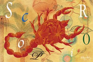 蠍座の2025年下半期の運勢は？ジョニー楓の12星座占い