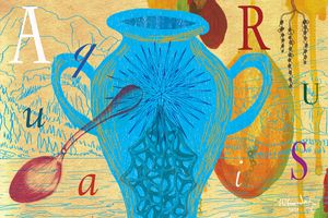 水瓶座の2025年下半期の運勢は？ジョニー楓の12星座占い