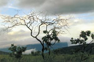 五木寛之さんが語る【こころのレシピ】人に好かれるひと
