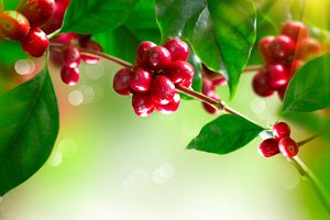 健康運を上げる、吉方位や食べ物。九星気学で占う2025年下半期のあなたの「健康運」