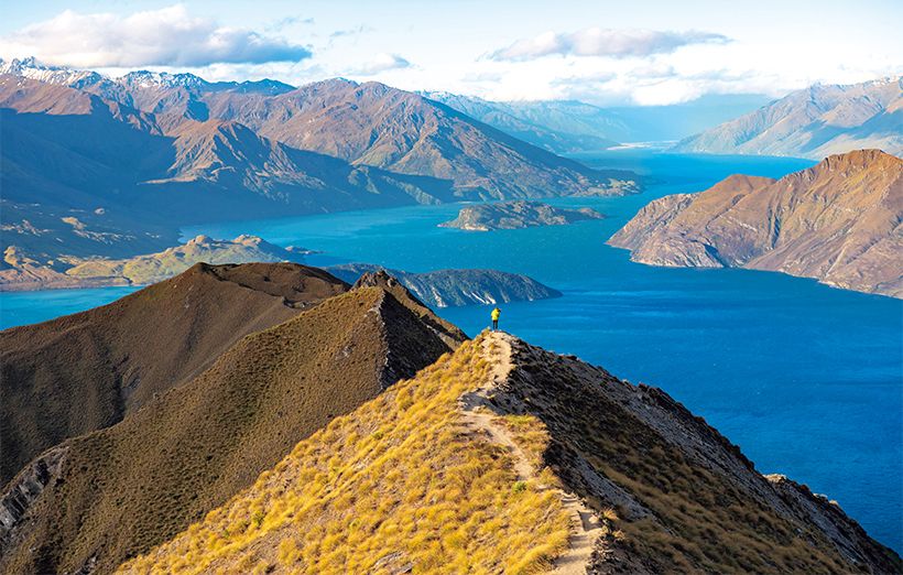 写真/imagebroker・アフロ