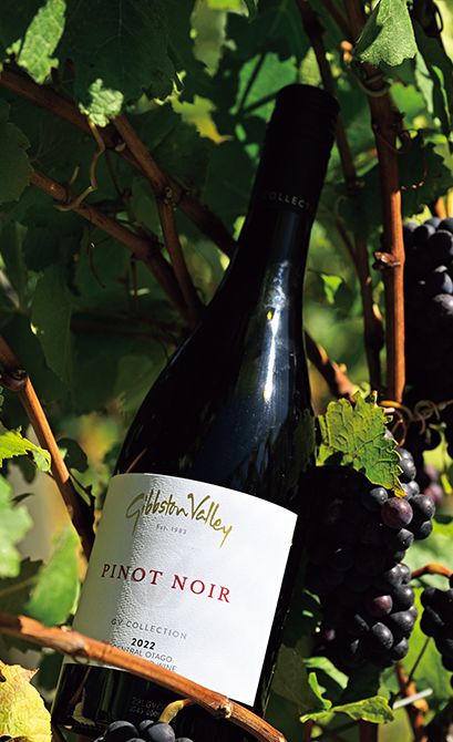 2022年産ピノ・ノワールは49NZ＄。