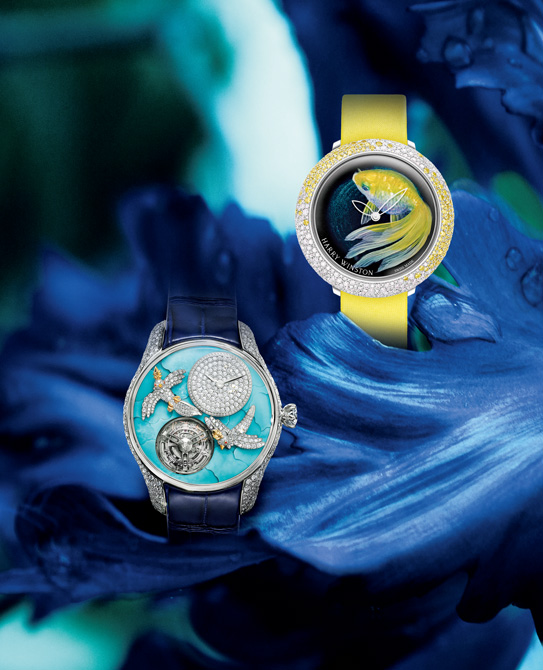 6d0fd832bbf04379f6c8203ffad68a