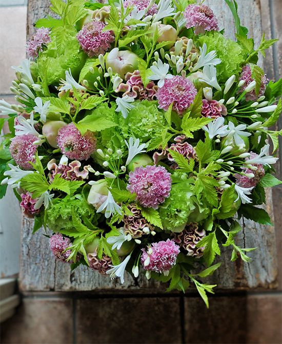 シャクヤクやスカビオサのピンクの中に、アガパンサス‘ジューンブライド’の白い星を散らしたアレンジです。アガパンサスは星形の花とすっとした蕾の両方が見え、アレンジの表情に変化を生んでくれます。シャクヤクは‘桃白妙’、スカビオサは‘フリフリサクラ’を使用。ほかにケイトウ‘プチフルーツマーメイドピンク’、リシアンサス‘アンバーダブルモヒート’、テマリシモツケ‘ルテウス’などを使用。