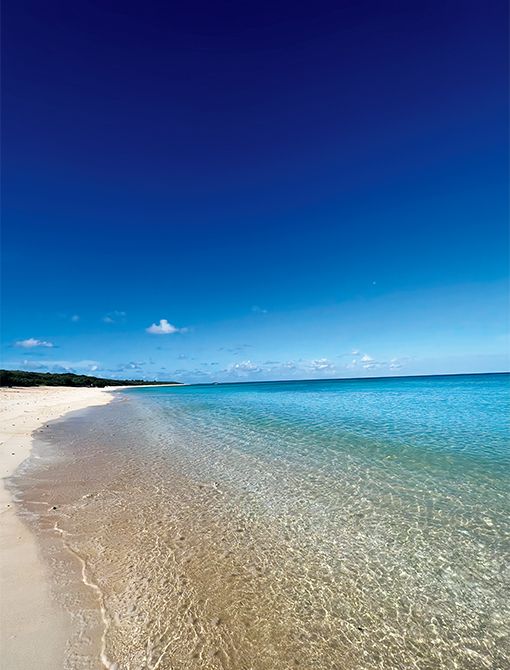 波照間(はてるま)ブルー