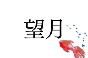 旧暦十五夜の満月を意味する「望月」。しかし名字の由来はある地名からです