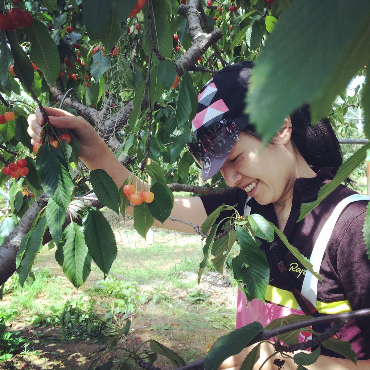 山梨の義実家の果樹園ではサクランボも栽培。「近年は猛暑のため栽培も困難続きですが、初夏、無事に収穫できたときの感動はひとしおです」と岩柳さん。