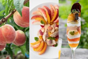 【美と美味の国・山梨へ】第3回　一年中 “旬” を味わえる奇跡のフルーツ王国