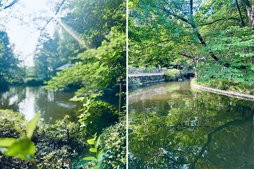 「強い陽射しのなかでも、水辺の景色が気持ちに涼やかな風が運びます」と村雨さん。公園の小さな池にも心を寄せて。
