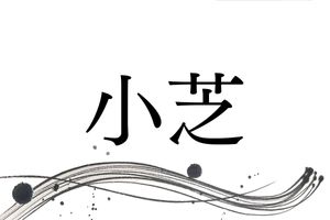 「小芝」という名字のルーツ。「しば」は山へ刈りに行く“あるもの”を指します