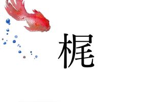 名字や家紋で使われることも多い「梶」。神道で神聖な植物「カジノキ」のことも指す