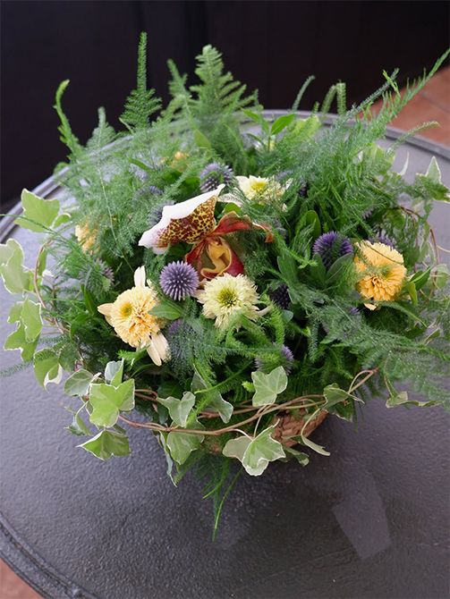 繊細な葉がやさしい印象のアスパラガス・プルサスナナスの周囲を、斑入りのアップライトアイビー‘ホワイトワンダー’で取り巻き、中にパフィオペデルム、エキナセアの‘レモンドロップ’と‘ハニーデュー’、ルリタマアザミ‘ベッチーズブルー’を加えたバスケットアレンジ。市場のイベント用に作りましたが、リーフプランツが主役という印象で、夏にふさわしいさわやかな雰囲気になりました。