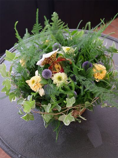 繊細な葉がやさしい印象のアスパラガス・プルサスナナスの周囲を、斑入りのアップライトアイビー‘ホワイトワンダー’で取り巻き、中にパフィオペデルム、エキナセアの‘レモンドロップ’と‘ハニーデュー’、ルリタマアザミ‘ベッチーズブルー’を加えたバスケットアレンジ。市場のイベント用に作りましたが、リーフプランツが主役という印象で、夏にふさわしいさわやかな雰囲気になりました。