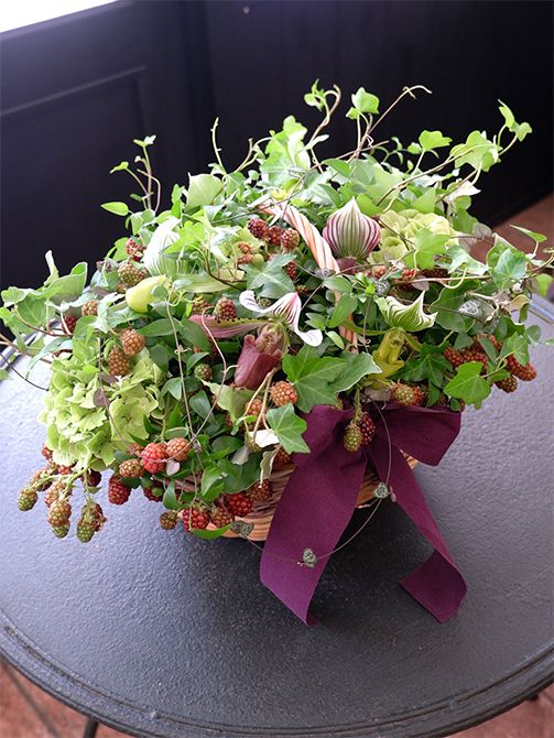 こちらも市場のイベント用に制作したみずみずしいグリーンたっぷりのバスケットアレンジです。アップライトアイビー‘ピッツバーグ’のほか、スマイラックス、ハートカズラ、銀葉マルグミと、「南原農園」さんのリーフプランツをたっぷり使い、パフィオペディルム、アジサイ‘マジカルエメラルドオータム’、ブラックベリーを加えています。葉形、葉色が異なるリーフプランツを複数種使うことで、より表情豊かな贈り花に仕上がります。