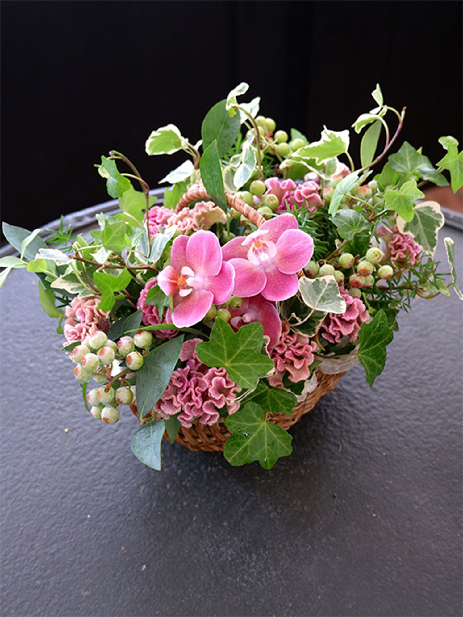 鮮やかなピンクのファレノプシス‘こうめ’に、ケイトウ‘プティフルーツ マーメイドピンク’とブルーベリーの落ち着いたピンクを合わせたバスケットアレンジです。ボリュームたっぷりのグリーンは、アップライトアイビーの‘ピッツバーグ’と‘グレイシャー’、アスパラガス・スプレンゲリー、ピスタチオオリーブ。市場のイベント用に制作した贈り花です。