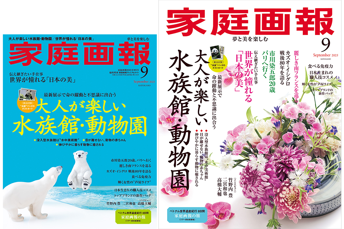 家庭画報 2019年12月号　美しい日本の文房具 家庭画報 2019年12月号 美しい日本の文房具 家庭画報 2019年9月