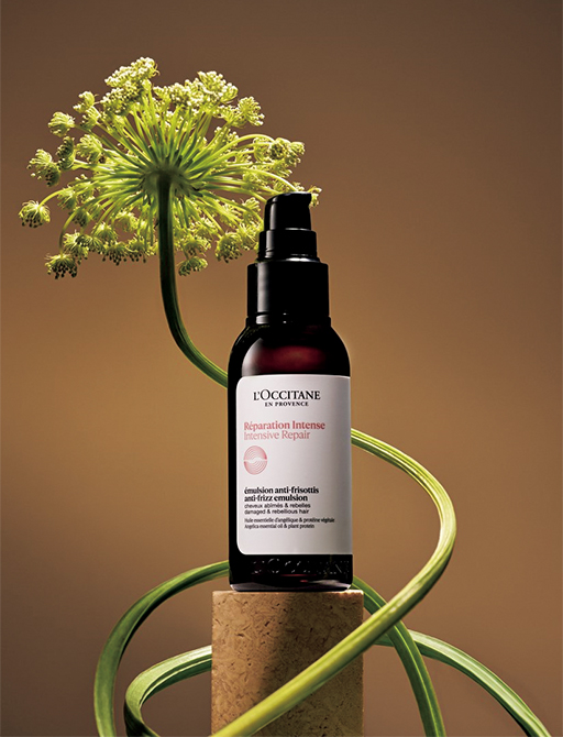 忙しい朝でも素早く髪のケアを。「ロクシタン」の人気ヘアミルクが