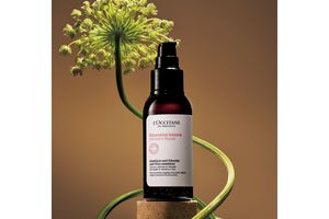 忙しい朝でも素早く髪のケアを。「ロクシタン」の人気ヘアミルクがリニューアル