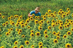 今森光彦さん「いきものと歩む“環境農家”の愉しみ」第5回　“感性の栄養”を子どもたちに