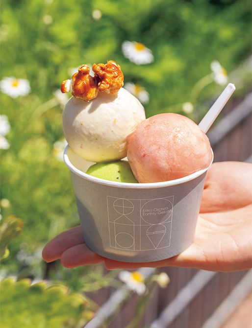 Eriko Osawa Earthly Gelato（エリコ オオサワ アースリー ジェラート）