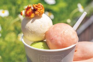 東京初、オーガニック野菜のジェラート専門店。自然の恵み豊かなフレーバーが魅力