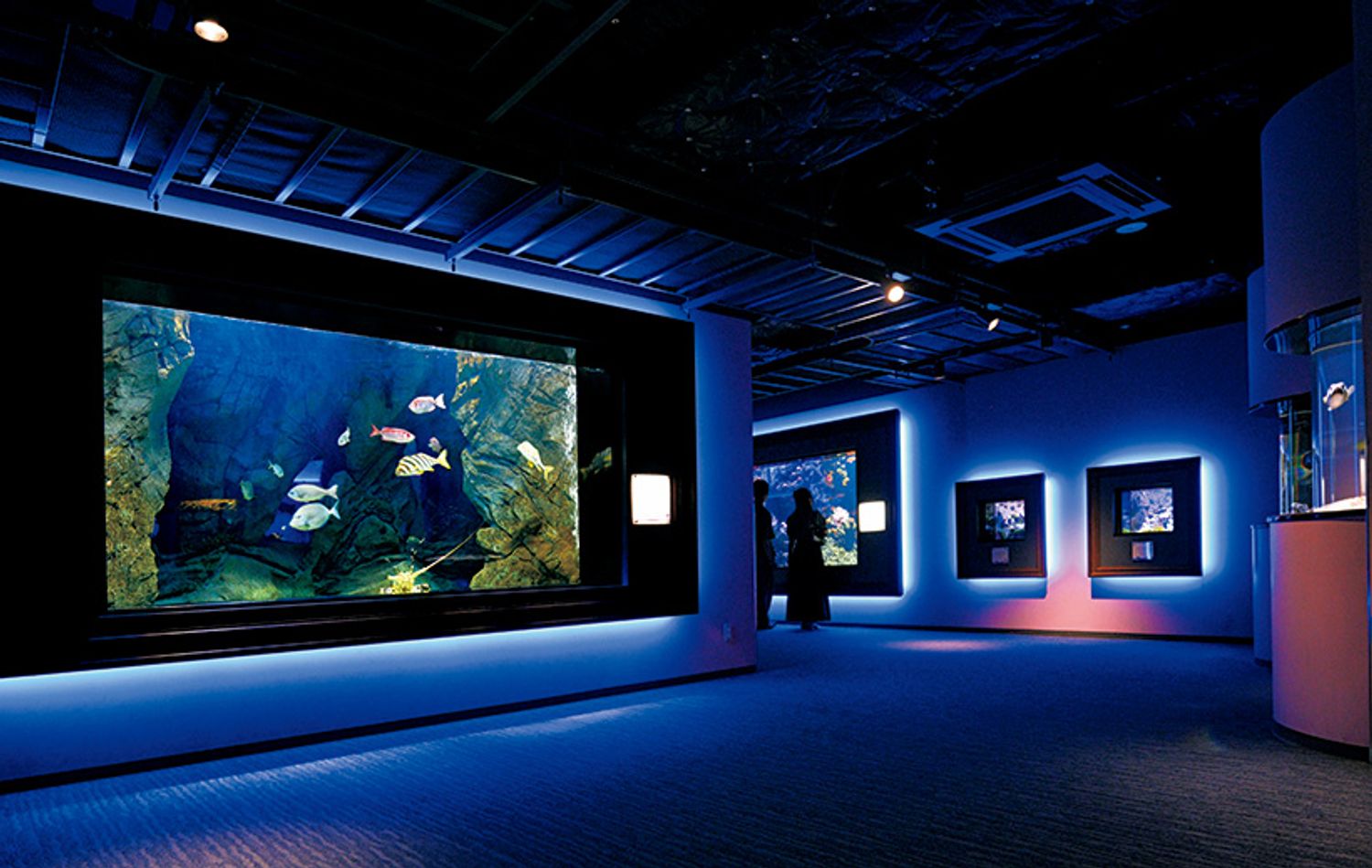 ギャラリー画像