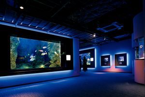 今、大人が水族館・動物園に行くべき理由とは【特集・大人が楽しい水族館・動物園】