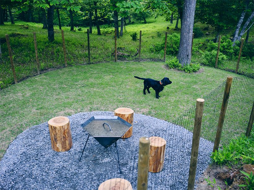 森に囲まれたドッグランの中には、焚火スペースが。薪（有料）は用意されているので、網を持参すればBBQも楽しめる。