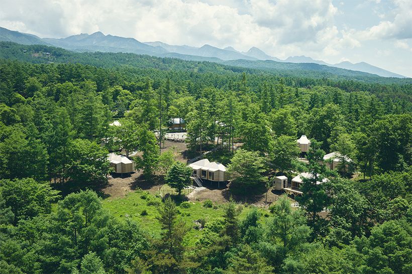 蓼科の豊かな森の中に、国産材をメインに使った木造の高床式キャビンが点在する「SANU CABIN MOSS 蓼科1st」の全景。